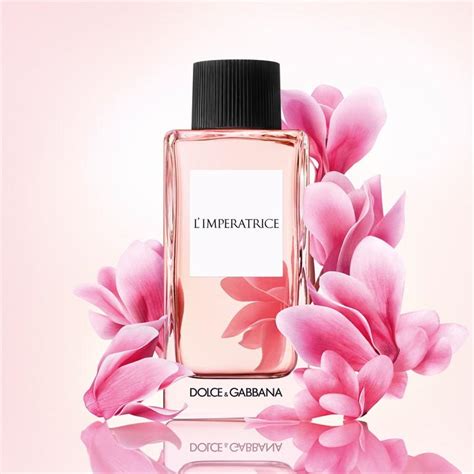 dolce and gabbana l imperatrice ingredients